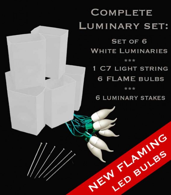 Upper Dublin Set of 12 or 6 White Luminaries