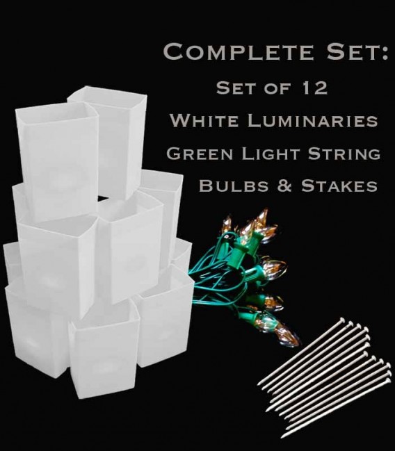 Set of 12 White Luminaries, Green Light String with Bulbs, Stakes
