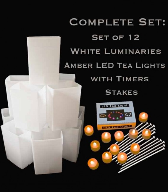 Set of 12 White Luminaries, Amber LED Tea Lights with Timers, Stakes