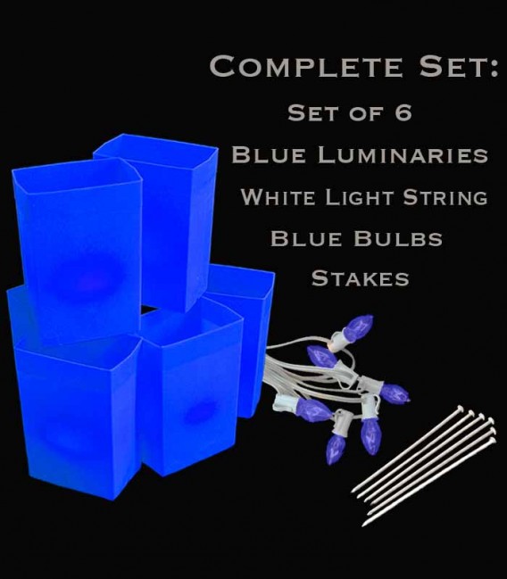 Set of 6 Blue Luminaries, White Light Strings with Blue Bulbs, Stakes