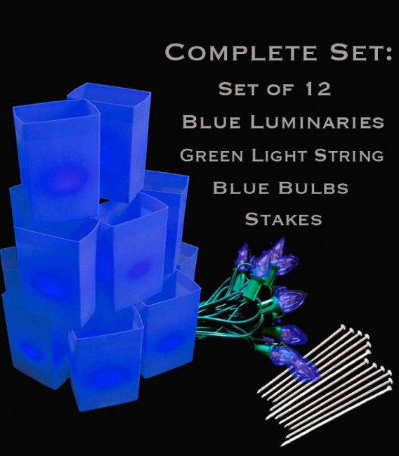 Set of 12 Blue Luminaries, Green Light String with Blue Bulbs, Stakes