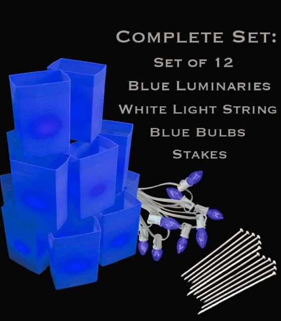 Set of 12 Blue Luminaries, White Light String with Blue Bulbs, Stakes