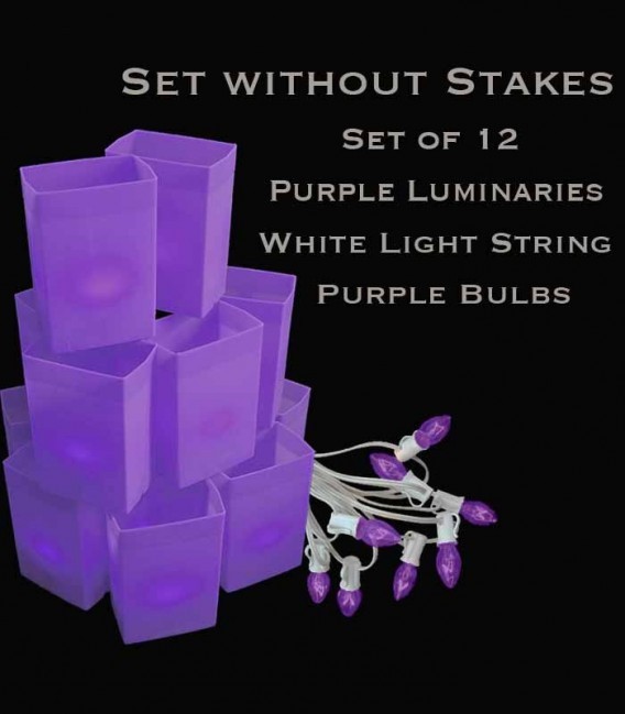 Set of 12 Purple Luminaries, White Light String with Purple Bulbs, No Stakes