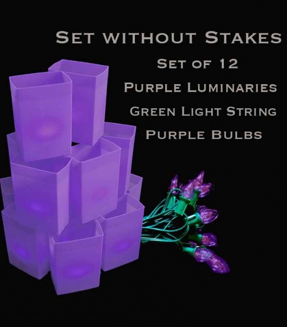 Set of 12 Purple Luminaries, Green Light String with Purple Bulbs, No Stakes