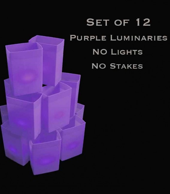 Set of 12 Purple Luminaries, No Light Source, No Stakes