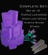 Set of Purple Luminaries, Green Light String with Purple Bulbs, Stakes