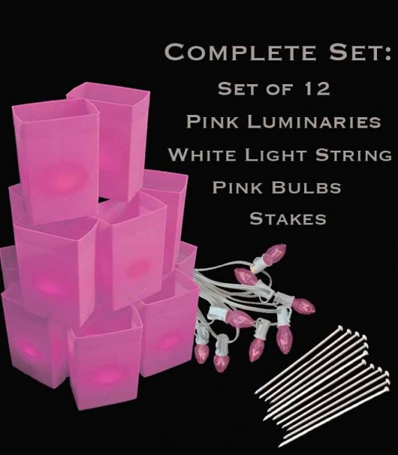 Set of 12 Pink Luminaries, White Light String with Pink Bulbs, Stakes