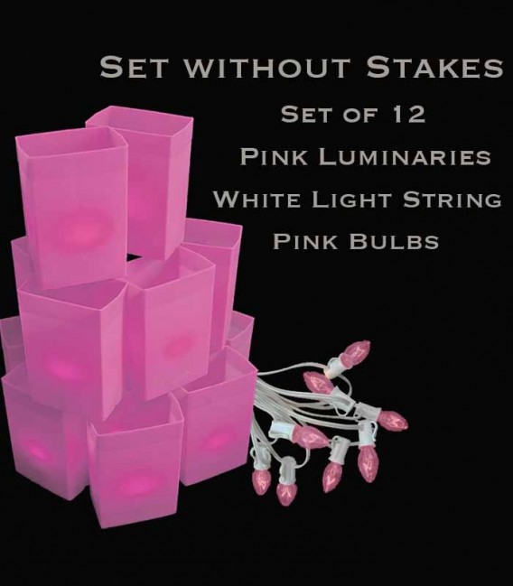 Set of 12 Pink Luminaries, White Light String with Pink Bulbs, No Stakes