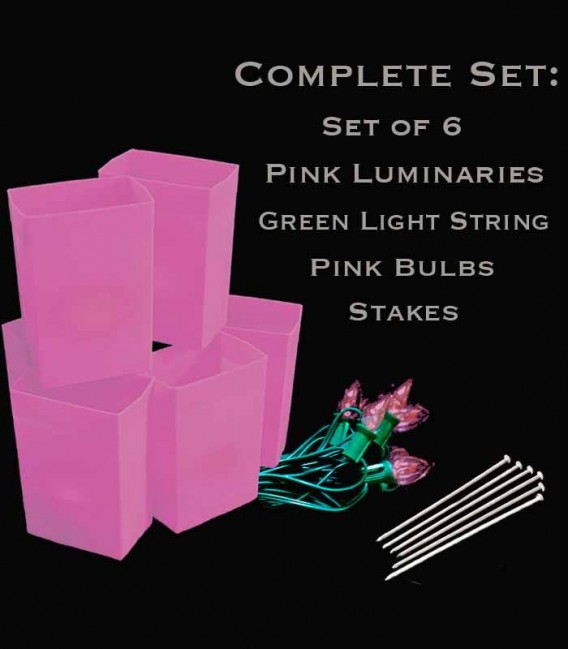 Set of 6 Pink Luminaries, Green Light String with Pink Bulbs, Stakes