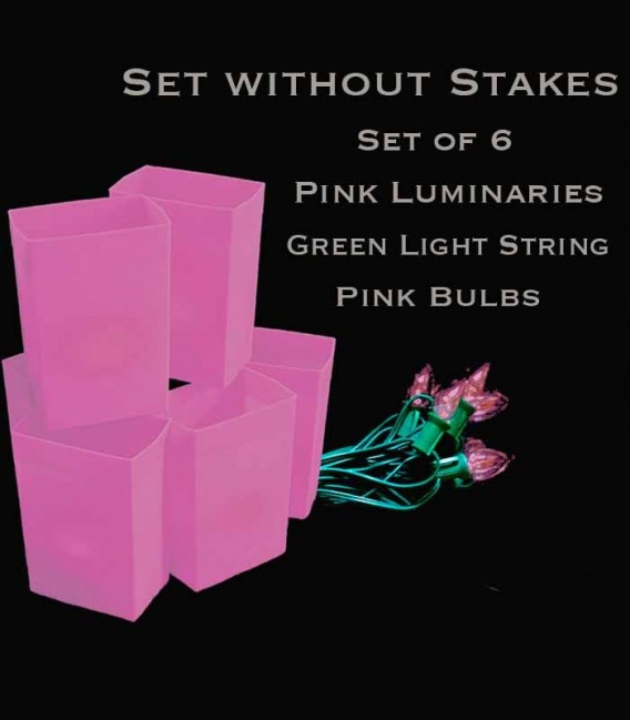 Set of 6 Pink Luminaries, Green Light String with Pink Bulbs, No Stakes