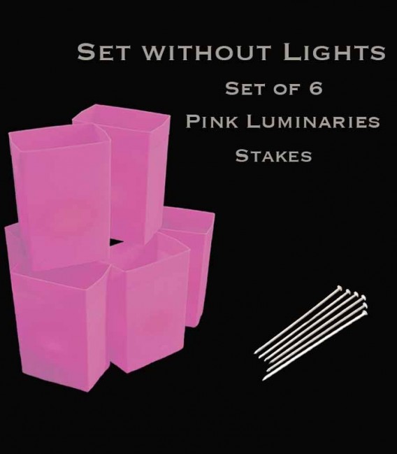 Set of 6 Pink Luminaries, No Light Source, Stakes