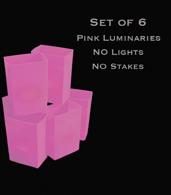 Set of 6 Pink Luminaries, No Light Source, No Stakes