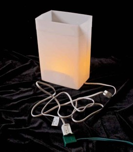 Indoor Luminary Light Kit