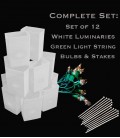 Set of 12 White Luminaries, Light String, Bulbs & Stakes