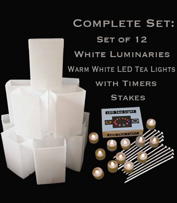 Set of 12 White Luminaries, Warm White LED Tea Lights & Stakes