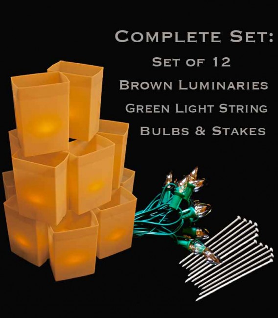 Set of 12 Brown Luminaries, Green Light String, Bulbs & Stakes