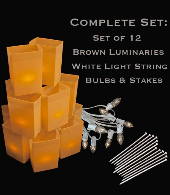Set of 12 Brown Luminaries, White Light String, Bulbs & Stakes