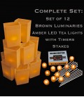 Set of 12 Brown Luminaries, LED Tea Lights & Stakes