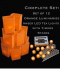 Set of 12 Orange Luminaries, LED Tea Lights & Stakes