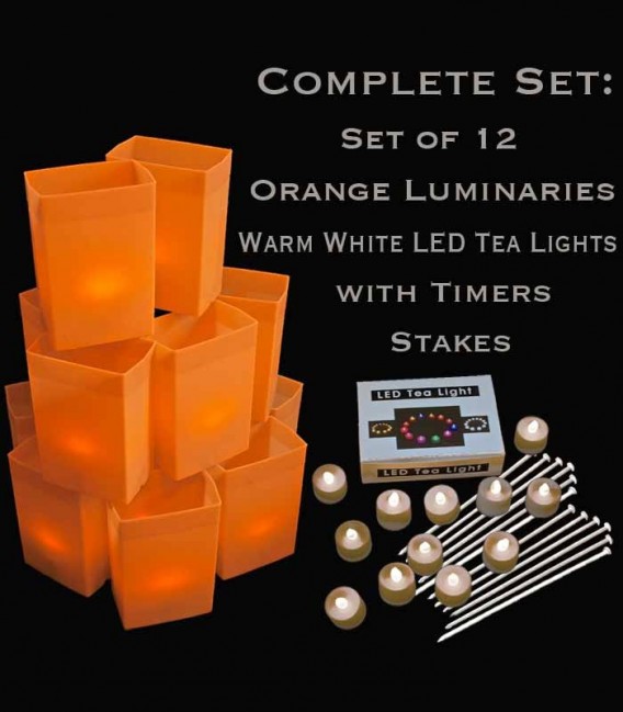 Set of 12 Orange Luminaries, Warm White LED Tea Lights & Stakes