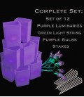 Set of 12 Purple Luminaries, Light String, Purple Bulbs, Stakes