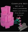 Set of 12 Pink Luminaries, Light String, Pink Bulbs & Stakes