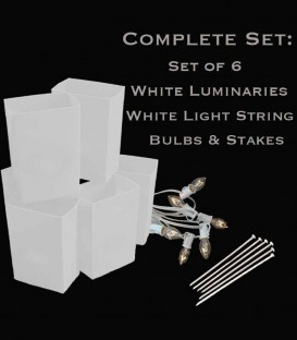 Set of 6 White Luminaries, White Light String, Bulbs & Stakes