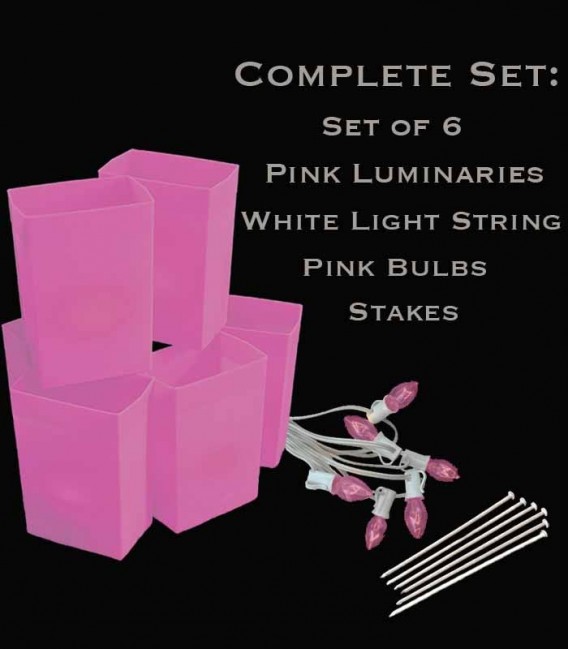 Set of 6 Pink Luminaries, White Light String, Pink Bulbs & Stakes