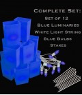 Set of 12 Blue Luminaries, Light String, Blue Bulbs & Stakes