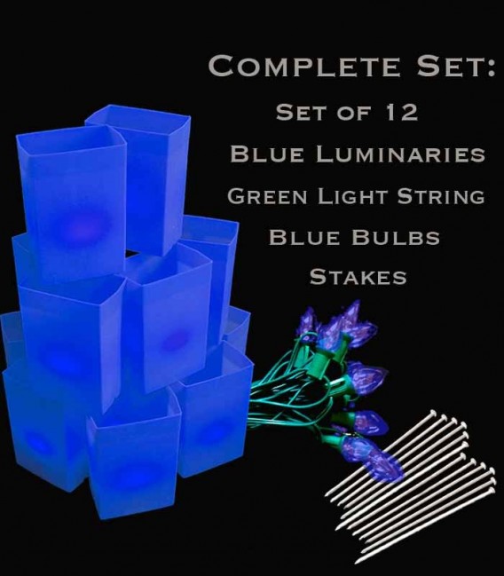 Set of 12 Blue Luminaries, Green Light String, Blue Bulbs & Stakes